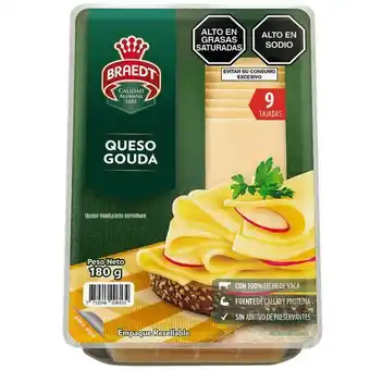 Vivanda Queso gouda braedt paquete 180g oferta