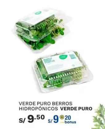 Wong Verde Puro Berros Hidropónicos Verde Puro oferta