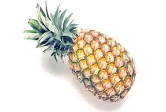 Freshmart Piña selva - kg oferta