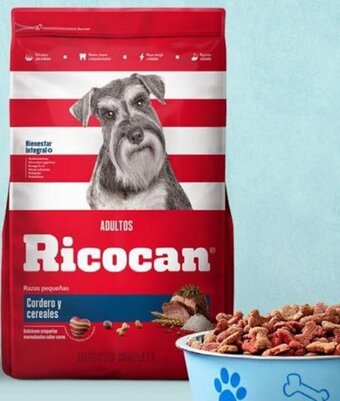 Wong Ricocan Sabores Surtidos 3kg oferta