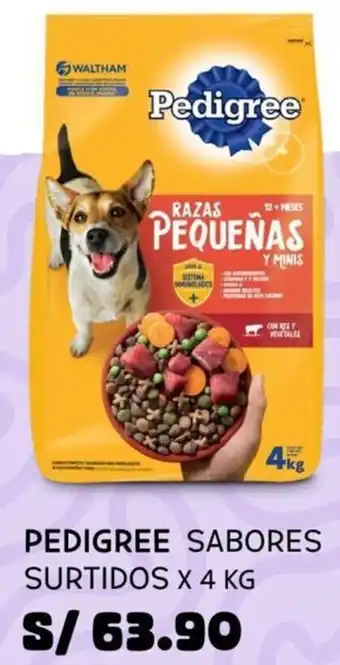 Wong Pedigree Sabores Surtidos 4kg oferta