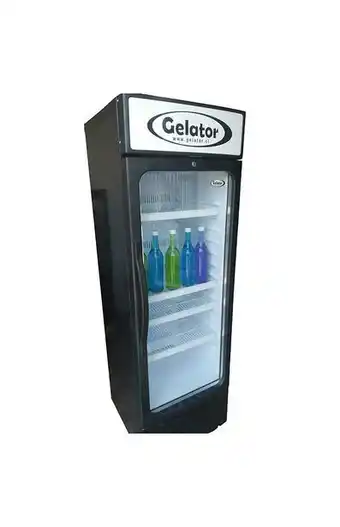 Tiendas EFE Vitrina vertical 250 litros oferta