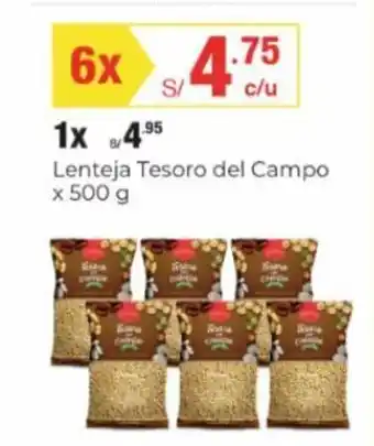 Metro Tesoro del Campo Lenteja x 500g oferta