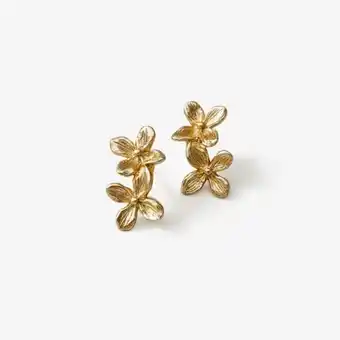 Yanbal Aretes climber tangüis oferta