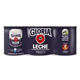 Tottus Six pack leche gloria reconstituida 170 g oferta