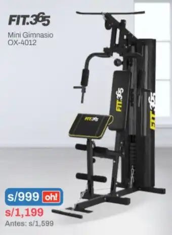 Fit 365 Mini Gimnasio OX-4012