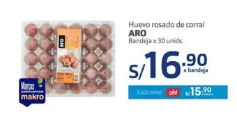 Makro Aro Huevo rosado de corral Bandeja x 30 unids oferta