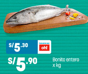 Plaza Vea Bonito entero x kg oferta