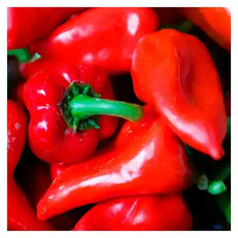 Tottus Pimiento piquillo tottus oferta