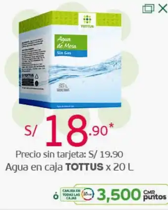 Agua en Caja Tottus 20L