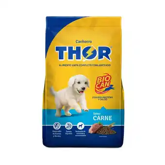 Tottus Comida para perros thor cachorros sabor carne 10 kg oferta