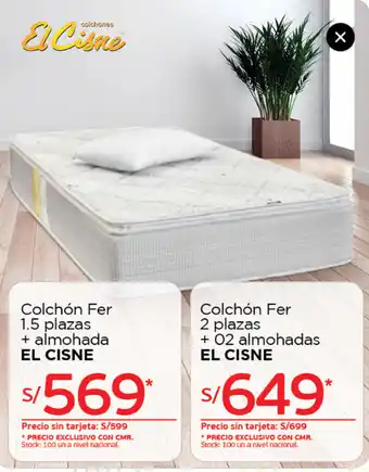 Tottus Colchón Fer 1.5 Plazas + Almohada oferta