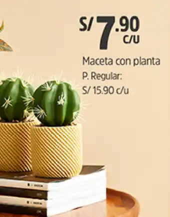 Plaza Vea Maceta Con Planta oferta