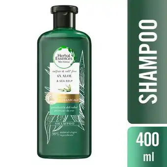 Tottus Shampoo bio:renew 6x aloe sea kelp color 400 ml - herbal oferta