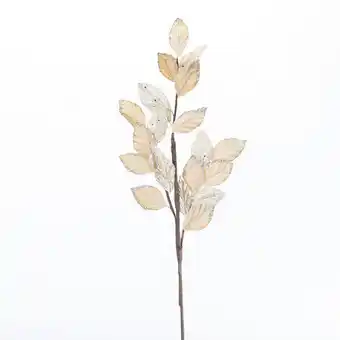 Rama champagne un ii