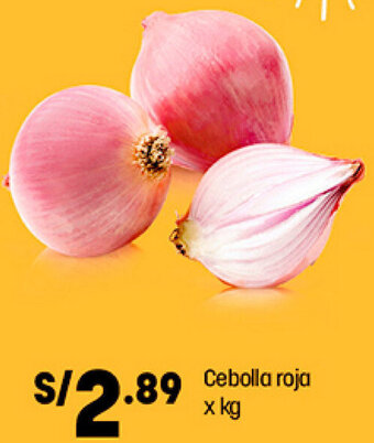 Plaza Vea Cebolla Roja oferta
