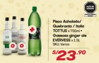 Hiperbodega Precio Uno Pisco Acholado / Quebranta / Italia Tottus x 750ml + Gaseosa Ginger Ale Evervess x 1.5L oferta