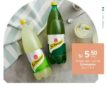 Plaza Vea Ginger ale / citrus Schweppes bt x 1.5lt oferta