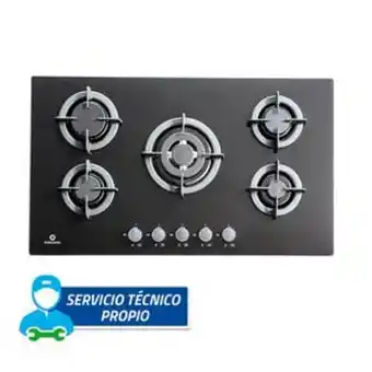 Tai Loy Encimera 5 hornillas indurama oferta