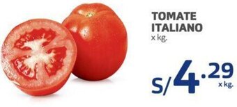 Makro Tomate Italiano oferta