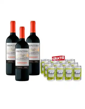 Sumon Licores Vino frontera carmenere 750ml x3 britvic ginger ale x12 oferta