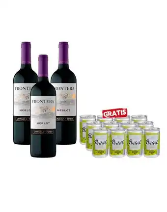 Sumon Licores Vino frontera merlot 750ml x3 britvic ginger ale x12 oferta