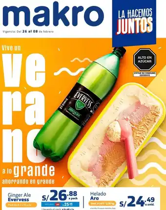 Makro Evervess Ginger Ale oferta