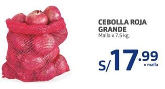 Makro Cebolla Roja Grande 7,5kg oferta