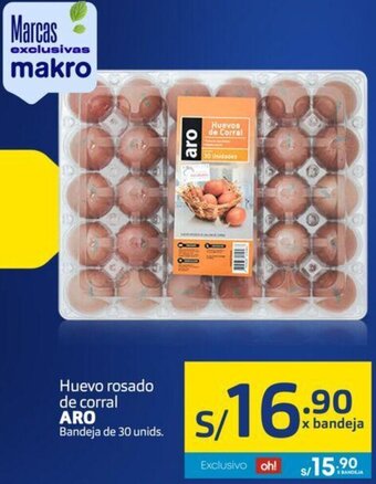 Makro Aro Huevo Rasado de Corral 30 Unids oferta