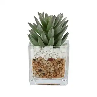 Casaideas Maceta vidrio cactus 7x10,5 cm oferta