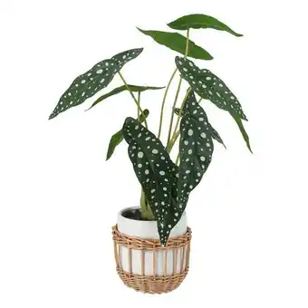 Casaideas Maceta cerámica con cesta de ratán y planta decorativa ø25x51,5 cm oferta