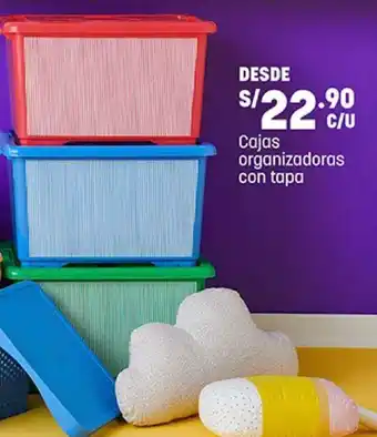 Cajas Organizadoras con Tapa