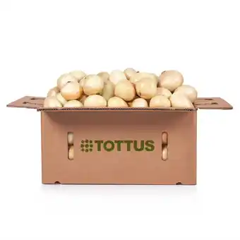 Tottus Cajonazo cebolla blanca oferta