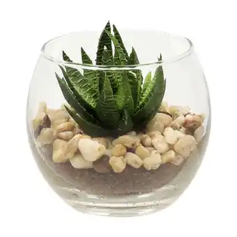 Casaideas Maceta vidrio cactus ø 8x7,3 cm oferta