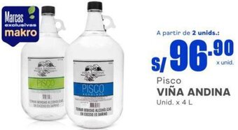 Makro Viña Andina Pisco 4L oferta