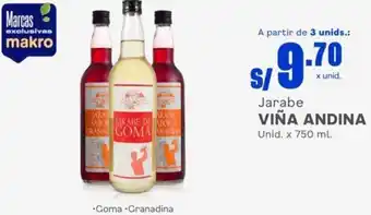 Makro Viña Andina Jarabe 750ml oferta