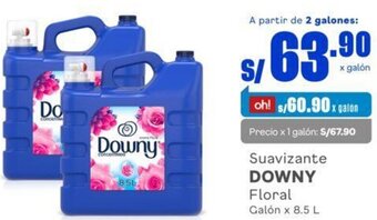 Makro Downy Suavizante Floral 8,5L oferta