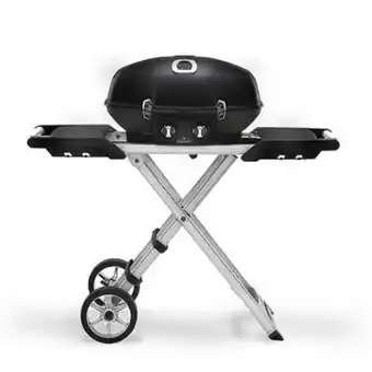 Maestro Parrilla portátil a gas q285x oferta