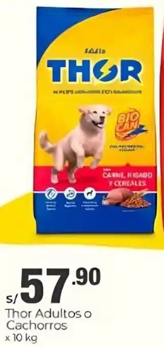 Metro Thor Adultos p Cachorros 10kg oferta