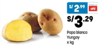 Papa Blanca Yungay
