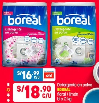 Plaza Vea Detergente en Polvo Boreal 2kg oferta