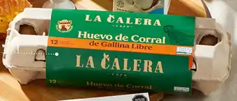 Plaza Vea Huevo de Corral La Calera pq x 12unid oferta