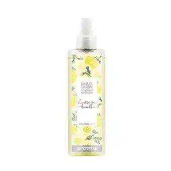 Tottus Colonia tottus 240 ml oferta