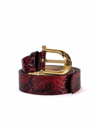 Carolina Store Correa ldl c1004 oferta