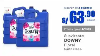 Makro Downy Suavizante Floral 8.5L oferta