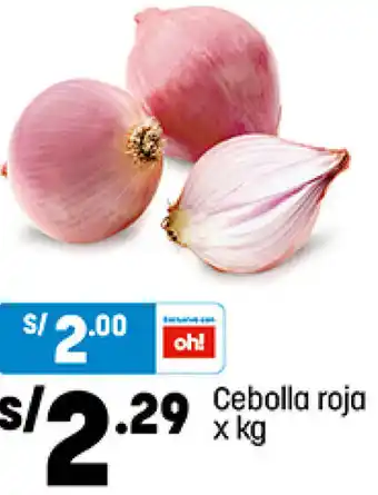 Plaza Vea Cebolla Roja oferta