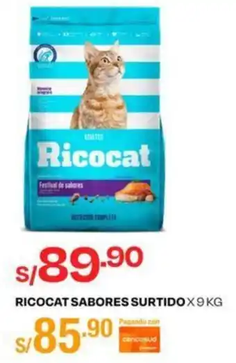 Wong Ricocat Sabores Surtido 9kg oferta