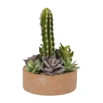 Casaideas Maceta cerámica cactus diseño 16x13 cm oferta