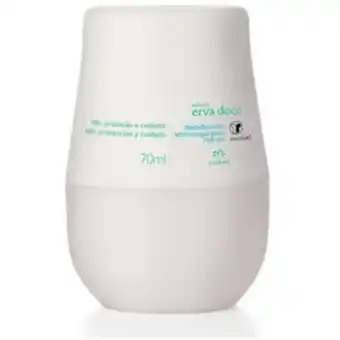 Linio Natura - erva doce desodorante antitrans... oferta