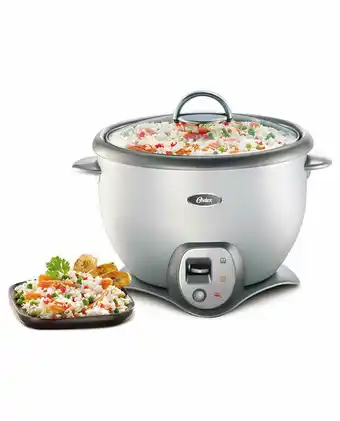Tiendas EFE Olla arrocera oster 6030-053 2.2l - plateado oferta